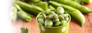 Portugese tuinbonen 400g